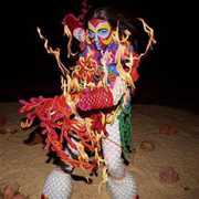 Earth Intruders , Bjork