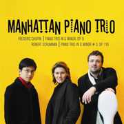 Piano Trio in G minor Op. 8 S , Andrea Immer