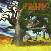 Young Tree , Groundation