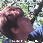 It Looks Fine from Here , Claudia Schmidt
