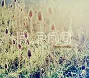 Innerheaven , R. Roo