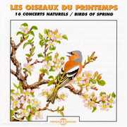 Birds of Spring , Sounds Of Nature