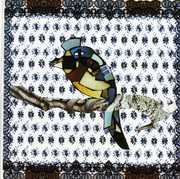 Bluebird , Sarah White