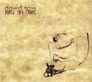 Broken Down Figure , David Saw
