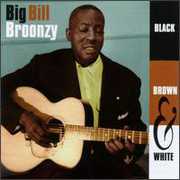 Black Brown & White , Big Bill Broonzy