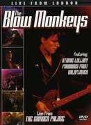 Live From London , The Blow Monkeys