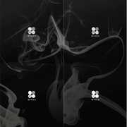 Wings (Vol 2) (Random cover, incl. 96-page photobook and one random polaroid card) [Import] , BTS