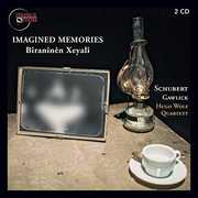 Imagined Memories