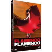 Flamenco, Flamenco
