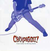 From Scene to Shining Scene , Chixdiggit!