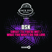 Sweat 'Til You're Wet /  What You Won't Do for Love , DSK