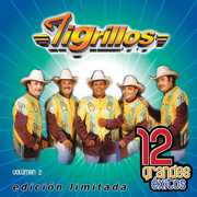 Vol. 2-12 Grandes Exitos , Los Tigrillos