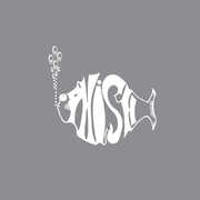 The White Tape , Phish
