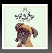 Lost My Dog 10x10 - 2008 , Various Artists