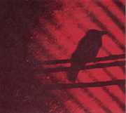 Born Into Trouble As the Sparks Fly Upward , A Silver Mt. Zion