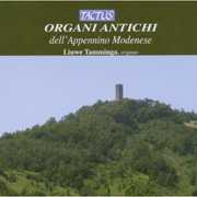 Historic Organs of Modena Italy , Liuwe Tamminga