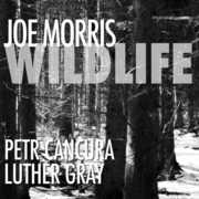 Wildlife , Joe Morris