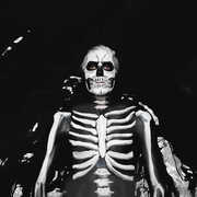 Forever Halloween , The Maine
