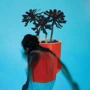 Sunlit Youth , Local Natives