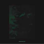 Tamer Animals/ Other Side , Other Lives