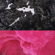 Breaking English , Rafiq Bhatia