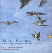 Angeles O Calandrias , Cea