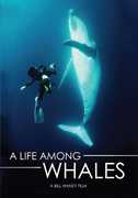 A Life Among Whales , Pierce Brosnan