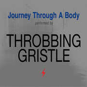 Journey Through A Body , Throbbing Gristle