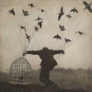 2 , Gloaming