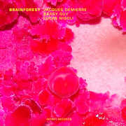 Brainforest , Barry Guy