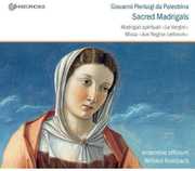 Sacred Madrigals , Ensemble Officium