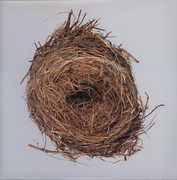 A Ghost Is Born , Wilco