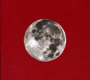 Red Letter Year , Ani DiFranco