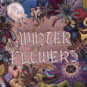 Winter Flowers , Winter Flowers