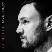 The Best Of David Gray , David Gray