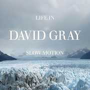Life in Slow Motion [Import] , David Gray
