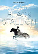 The Black Stallion , Kelly Reno