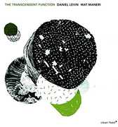 Transcendent Function [Import] , Daniel Levin