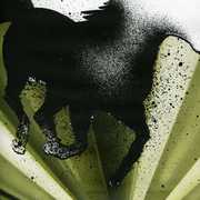 The Dark Horse , Achilles