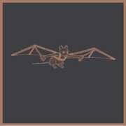 Bats and Mice , Bats & Mice