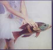 Idioglossia , Chirs Burke