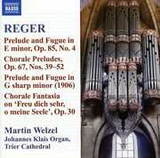 Reger 10: Organ Works , Martin Welzel