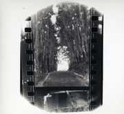 Winter Forever , Seahaven