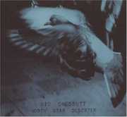 North Star Deserter , Vic Chesnutt