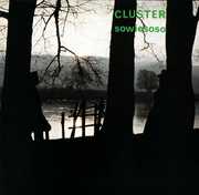 Sowiesoso , Cluster
