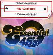Dream of a Lifetime , The Flamingos
