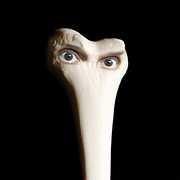 Halo , Juana Molina