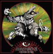 Fran Primat Till Reptil , Anatomi-71