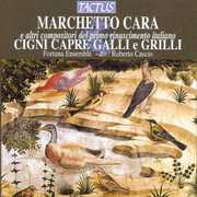 Cigni Capre Galli E Grilli , Fortuna Ensemble