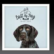 Lost My Dog 10x10 - 2010 , Various Artists